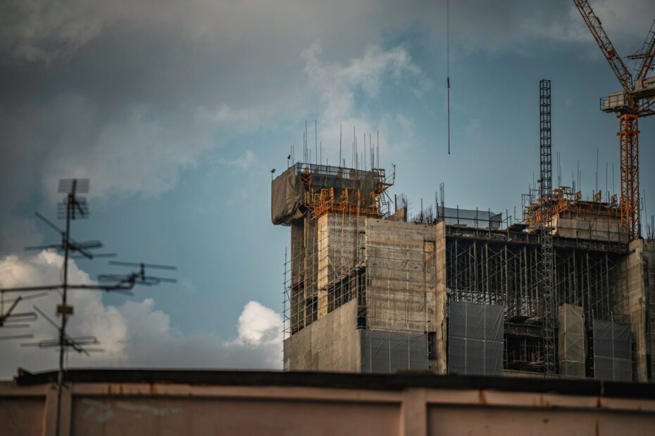 Schädlingsbefall auf der Baustelle: Was Handwerker wissen